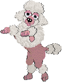 poodle07.gif (4217 bytes)